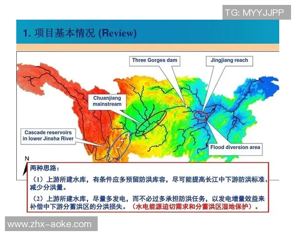 足球的尺寸与比赛规则的关系探讨及其对运动表现的影响分析